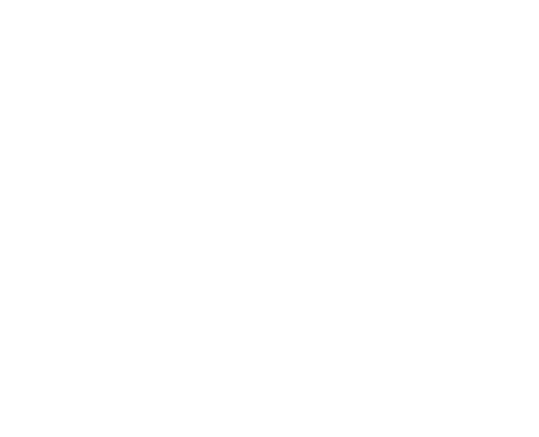 Stormers